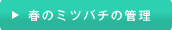 春のミツバチの管理