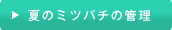 夏のミツバチの管理