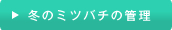 冬のミツバチの管理