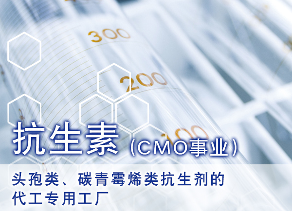 抗生素（CMO事业） 头孢烯、碳青霉烯类抗生剂的代工专用工厂