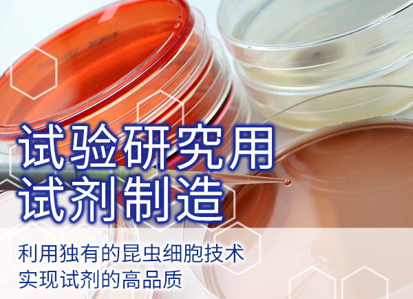 生物医药品（CDMO事业） 试验研究用试剂制造 细胞因子和生长因子