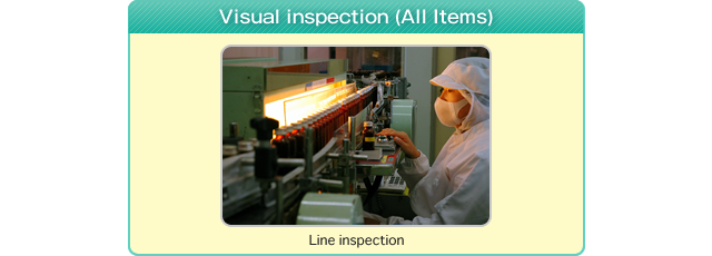 Visual Inspection (All Items)