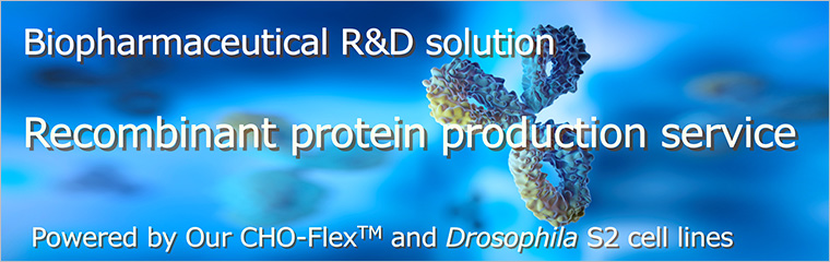 Recombinant protein production service