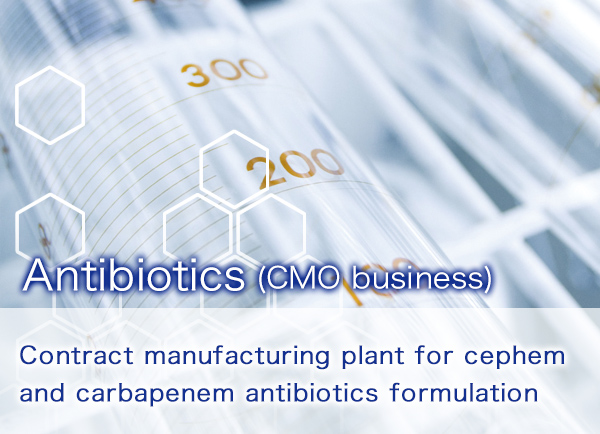Antibiotics (CMO business)　Contract manufacturing plant for cephem and carbapenem antibiotics formulation