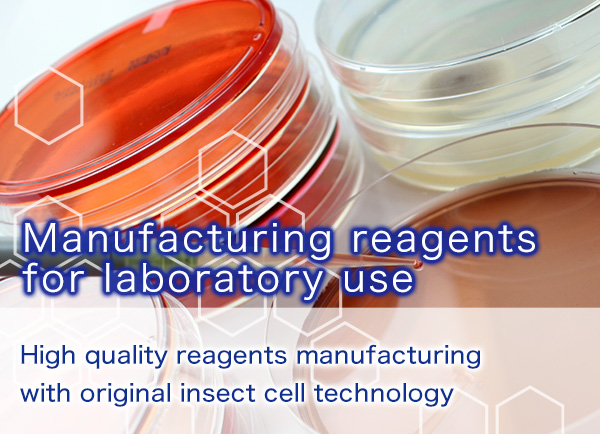 Manufacturing reagents for laboratory use　High quality reagents manufacturing with original insect cell technology