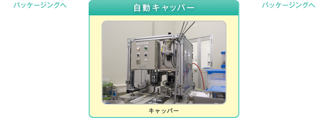 調合（ゼラチン被膜調合・内容液混合）