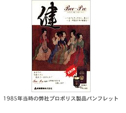 日本でのブームは1985年から
