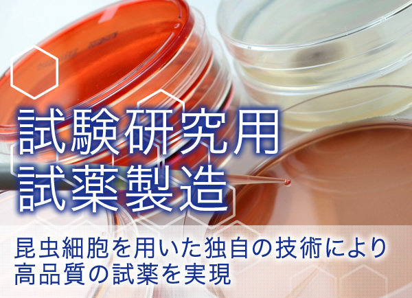 試験研究用試薬製造　昆虫細胞を用いた独自の技術により高品質の試薬を実現