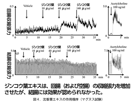 図4．沈香葉エキスの作用機序（マグヌス試験）