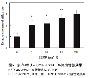 図6．赤プロポリスのコレステロール流出増強効果 NBD-コレステロール標識法により測定 EERP: 赤プロポリス抽出物，　T09: T0901317（陽性対照薬）