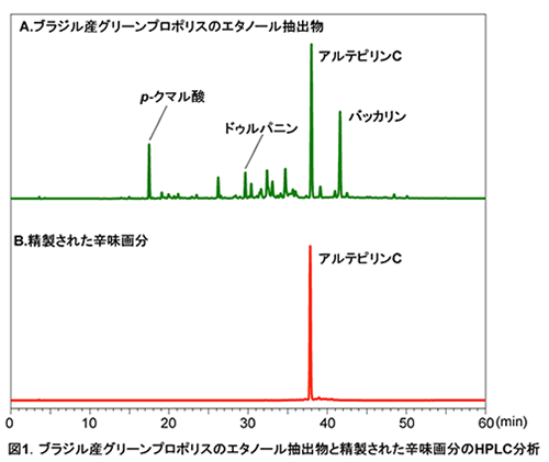 図1.ブラジル産グリーンプロポリスのエタノール抽出物と精製された辛味画分のHPLC分析